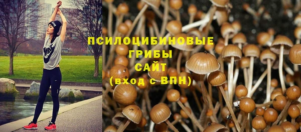 экстази Армянск