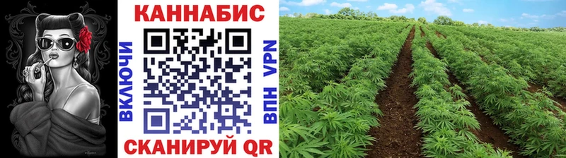 купить наркотики сайты  Феодосия  гидра рабочий сайт  МАРИХУАНА гибрид 